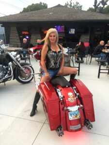 Harley Davidson Baggers - Tailgunner Exhaust